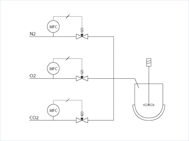 用于細(xì)菌生長的氣體定量給料工藝方案